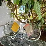 La Casa Del Verso Semesterbostad *